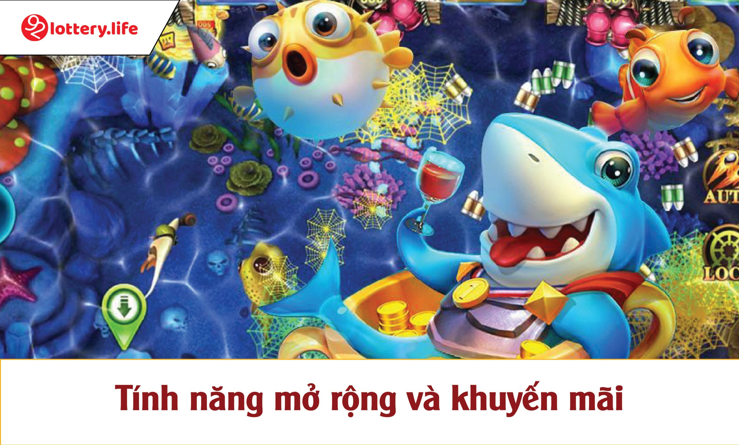 Tính năng mở rộng và khuyến mãi