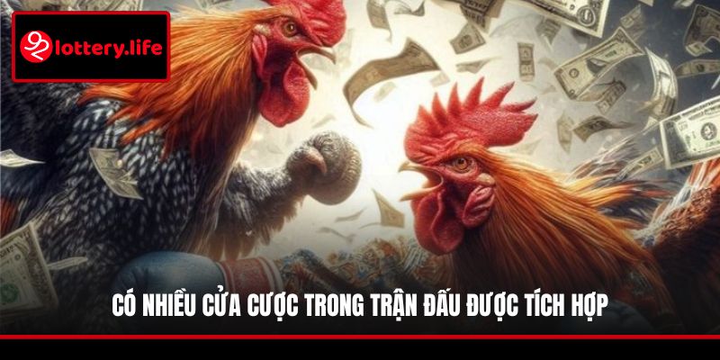 Có nhiều cửa cược trong trận đấu được tích hợp