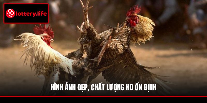 Hình ảnh đẹp, chất lượng HD ổn định
