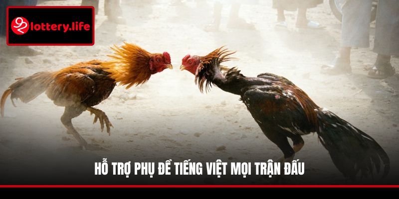 Hỗ trợ phụ đề tiếng Việt mọi trận đấu