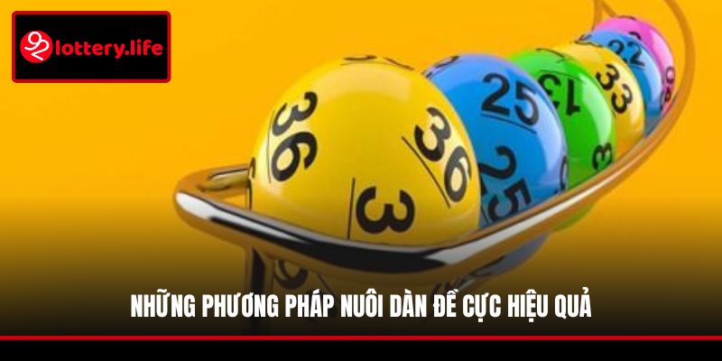 Những phương pháp nuôi dàn đề cực hiệu quả